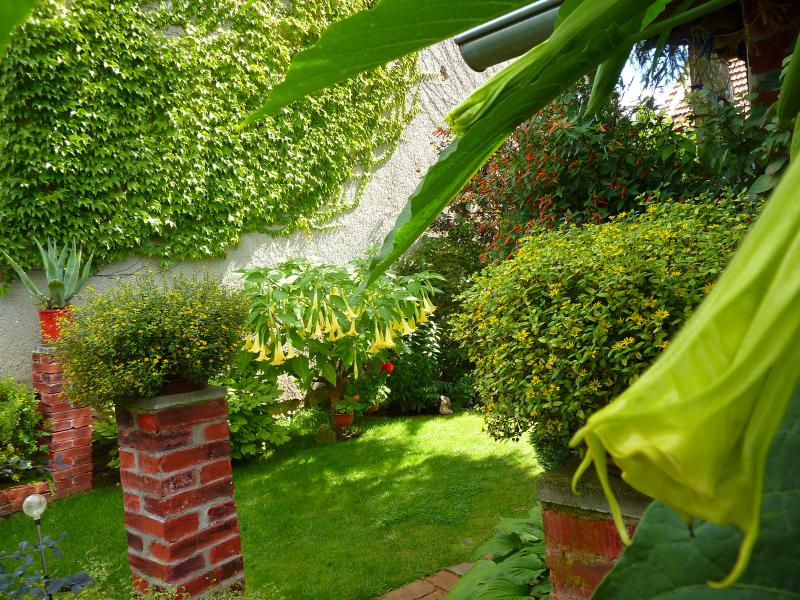 7794-p1050549
